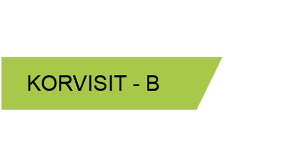 KORVISIT B